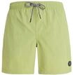Protest Herren Badeshorts Faster S