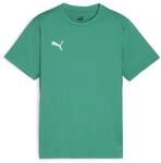 PUMA teamGOAL Jersey Jr