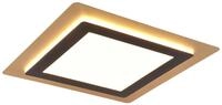 Trio Leuchten LED Deckenleuchte Morgan 641510280, Metall Schwarz matt/Goldfarbig,