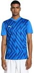 PUMA Unisex Teamglory Jersey Fu&szlig;balltrikot