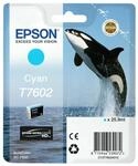 Epson C13T76024010, Tintenpatronen, 26 ml, cyan