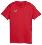 Puma Damen Teamgoal Jersey Wmn T-Shirt (1er Pack)