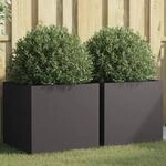 vidaXL Pflanzk&uuml;bel 2 STK., Blumenk&uuml;bel f&uuml;r Dekoration, Blumentopf f&uuml;r...
