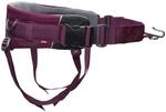 Non-Stop dogwear Trekking-Belt 2.0 |122| Allrounder - Dogtrekking und Wander-G&uuml;rtel,