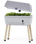 GUSTA GARDEN Sammy Salad Hochbeet Hellgrau - Hochbeet Balkon & Garten - Abnehmbare