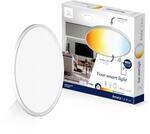 tint Smarte LED-Deckenleuchte AMELA &ndash; Steuerbar per Alexa, Fernbedienung oder