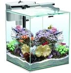 Aquael AQUARIEN Set Nano Reef Duo White 35 2.0