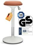 Ergotopia&reg; Dyk&oacute; ergonomischer B&uuml;rohocker - ergonomischer Sitzhocker mit
