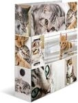 HERMA Ordner A4 Katzen, 7 cm breit, Kinder Ringordner mit Tier Motiv, bunter