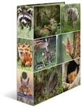 HERMA Ordner A4 Waldtiere, 7cm breit, Kinder Ringordner mit Tier Motiv, bunter