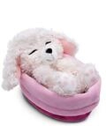 NICI Kuscheltier Hund - Pudel wei&szlig; 12cm, schlafend im K&ouml;rbchen - Pl&uuml;schtier zum