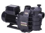 Hayward sp2811xe161