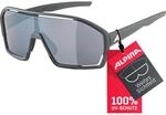 ALPINA Unisex Bonfire Sonnenbrille, Midnight-Grey matt, One Size