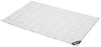 Spessarttraum Daunendecke 155x220 cm Sommer extra leicht | 100% Daunen | 300g