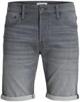 JACK & JONES Jjirick Jjicon Shorts Ge 370 I.K Ss24 Sn
