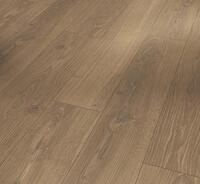 Parador Dekorboden Laminat Classic 1050 Eiche Studioline honig Naturmattstruktur