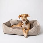4L Textil Molly Hundebett gro&szlig;e Hunde Cord Hundekorb gro&szlig;e Hunde Hundekissen