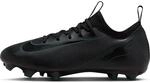 Nike Unisex Kinder Zoom Vapor 16 Academy Fg/Mg Fussballschuh, Black Black Deep