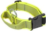 Julius-K9 100HA-K-NE-2015 Color & Gray Halsband mit Haltegriff, Sicherheitverschluss
