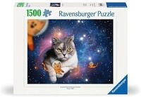 Katzen fliegen im Weltall