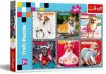 Trefl, Puzzle, Fr&ouml;hliche Hunde, 200 Teile, f&uuml;r Kinder ab 7 Jahren