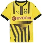 Puma BVB Cup Jersey Replica Jr - 152