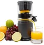 Livington JuiceBoost - Akku Entsafter klein - kabellose Saftpresse f&uuml;r unterwegs -