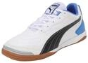 PUMA Pressing IV Indoor Herren Hallenschuhe Fussballschuhe 107419