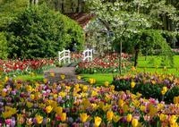 Ravensburger Puzzle 12000851 - Beautiful Gardens, Keukenhof Gardens, Niederlande -