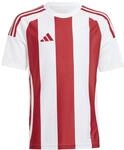 adidas Unisex Kinder Striped 24 Jersey Kids Trikot (kurz&auml;rmlig) (1er Pack)