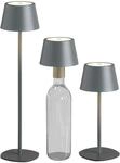 Northpoint 3in1 LED Tischlampe Flaschenleuchte in Grau max. 45cm hoch mit 3000mAh