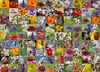 Ravensburger Puzzle 12000617-99 Bienen - 1000 Teile Puzzle f&uuml;r Erwachsene und...