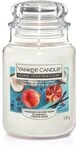 Yankee Candle, Duftkerze im Glas "Pomegranade Coconut", frisch, fruchtig, tropischer