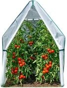Westmann &Uuml;berwinterungszelt Chili | 120x120x180 cm Wei&szlig;| Pflanzenschutz &
