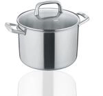 Berndes Topf Tricion Resist 20 cm, Kochtopf mit Deckel 3,9 l Volumen, f&uuml;r alle