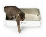 LucyBalu® Edelstahl Katzenklo geruchsfrei | große Katzentoilette aus Edelstahl LucyBalu® Edelstahl Katzenklo geruchsfrei | große Katzentoilette aus Edelstahl