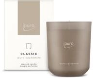 ipuro Classic dekorative Duftkerze - CACHEMIRE | Duftkerze im Glas mit zarter Rose &
