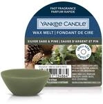 Yankee Candle Wachsschmelze mit Silbersalbei und Kiefer