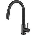 Rainsworth Schwarz Wasserhahn K&uuml;che mit Brause Ausziehbar - Hochdruck K&uuml;chenarmatur
