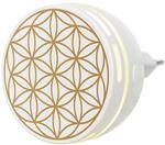 PRIMAVERA Aroma Duftstecker Easy - Raumduft Stecker - elektrischer Duftdiffuser,