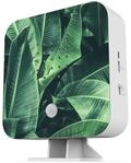 Northpoint Natur Soundbox Vogel, Gesang, Vogelzwitscher Box Bewegungsmelder