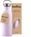 Bambaw Metal Water Bottle 16oz Lavender Water Bottle with Handle Stainless, Non