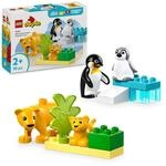 LEGO DUPLO Wildtier-Familien: Pinguine und L&ouml;wen &ndash; Spielzeug zur F&ouml;rderung...
