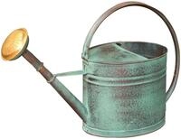 Gie&szlig;kanne gr&uuml;n 4 l + Brausekopf aus Messing
