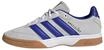 adidas Herren SPEZIALIST Indoor Shoes, Cloud White/Lucid Blue/Grey Two, 44 EU