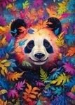 Pandab&auml;r im Regenbogenwald