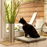 lionto Fensterliege f&uuml;r Katzen, weiches Katzenbett, bis 15 kg, Dunkelgrau 