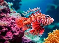 Ravensburger Puzzle 12001334, Colorful Animals - Rotfeuerfisch - 500 Teile Puzzle