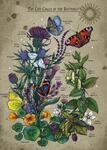 Ravensburger Puzzle 12001435 - Lifecircle Butterfly - 1000 Teile Puzzle f&uuml;r