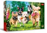 Trefl - Puzzle 1000 Tea Time: Es Stehen Schwierigkeiten Bevor Premium Plus